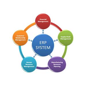 module sisteme erp