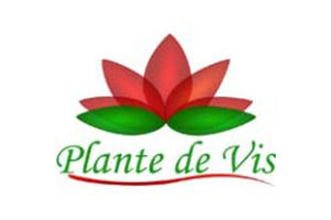 Logo plantedevis.ro